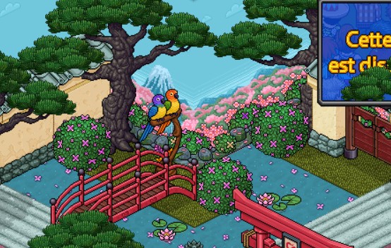 Pack Jardin Japonais