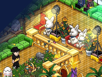 Playnight : Programme